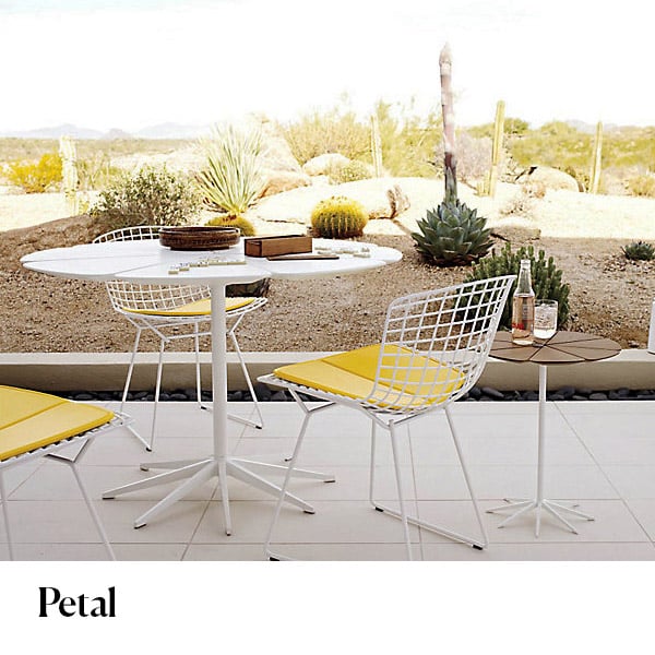 Knoll Petal dining chair 